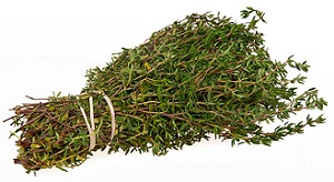 cimbru planta medicinala-thyme herb